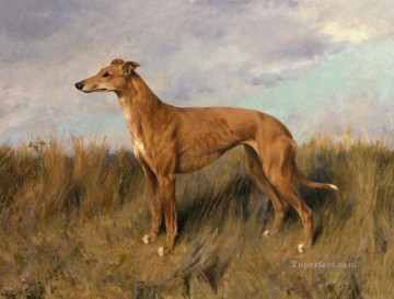 ヘンリエッタ ホーン グレイハウンド アーサー ウォードル犬 Oil Paintings
